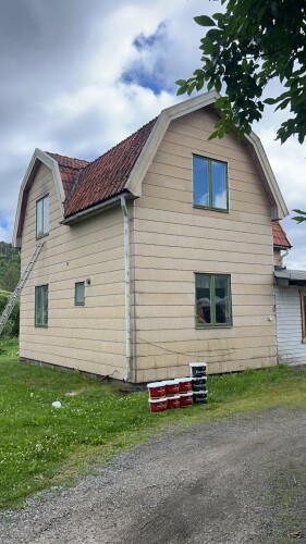 Fanebust Tak Og Fasade