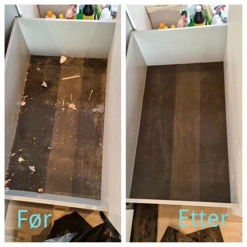 Double M Renhold, Apolskyte