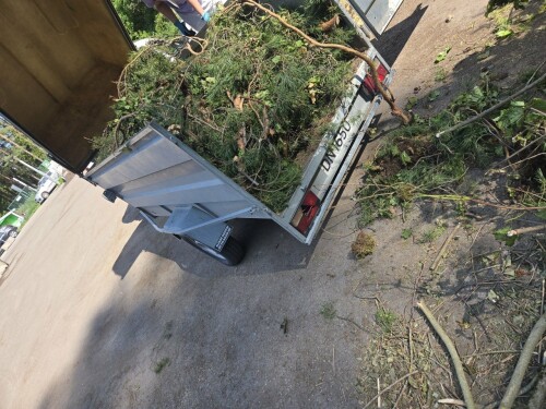 Maler & Reparasjonspartner Ceobanu