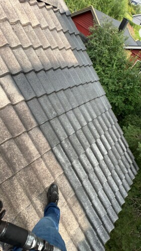 Fanebust Tak Og Fasade