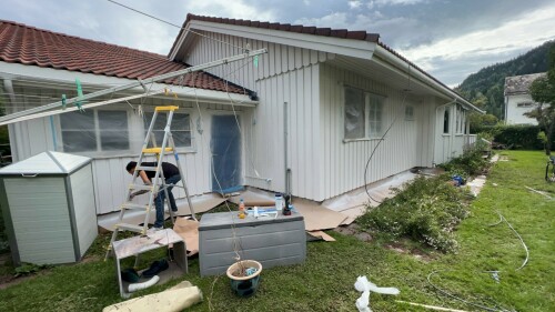 Fanebust Tak Og Fasade