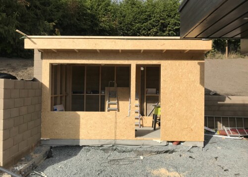 Busy Bees - Karol Pietrak