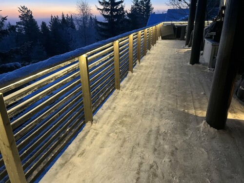 Trysil Bygg & Vaktmesterservice AS