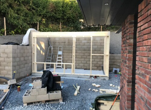 Busy Bees - Karol Pietrak