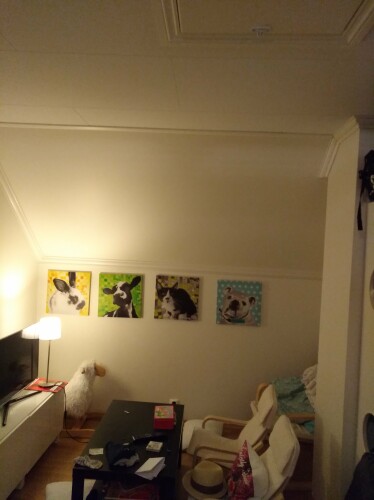 Löwenstein Tømrer AS