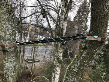 Bekk Trefelling & Trepleie