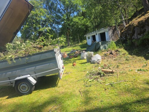 Maler & Reparasjonspartner Ceobanu