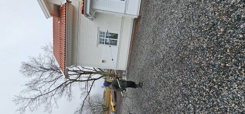 Constantin Tofolan Multiservice