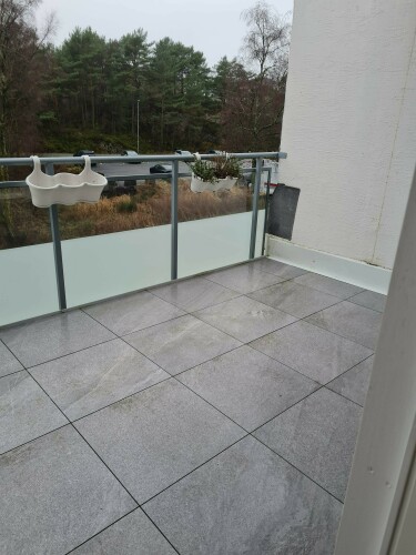 Happy Buddha Nerijus Gerve