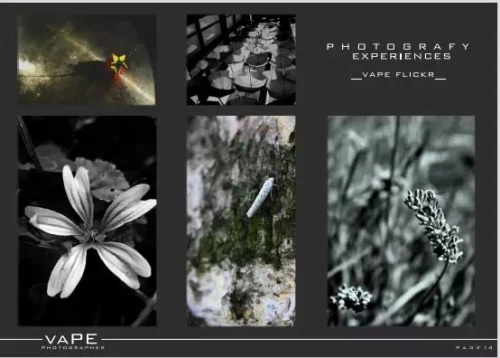 Skandinavisk Og Spansk Eiendom AS