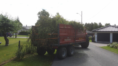 Skog & Hageservice Tor Grimstad