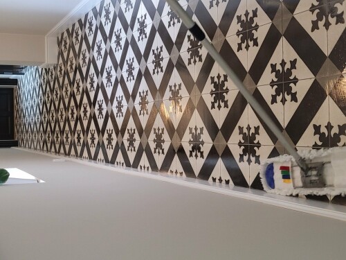 Maler & Reparasjonspartner Ceobanu