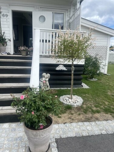 Vaktmester Og Hageservice AS