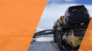 Norsk Biltransport AS