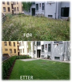 Skandinavisk Utemiljø AS