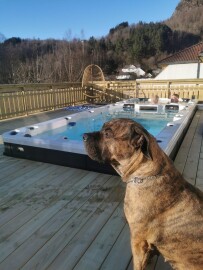 Lister Snekker & Maler Service, Avd Av Ultrajet AS