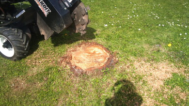 Total Eiendomsservice AS