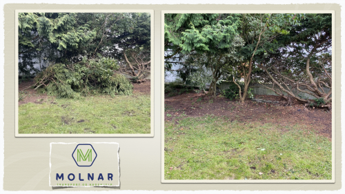 Molnar Transport Og Hagehjelp