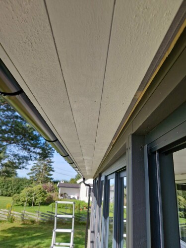 Snekker Omid Javanmiri