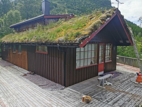 Gogis Vestland Maler