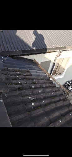 Jakab Bygg Spesialisten