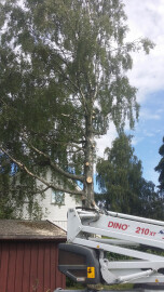 Skog & Hageservice Tor Grimstad