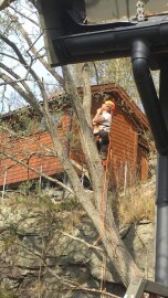 Markus Trefelling & Arborist Service Markus Trefelling & Arborist Service