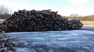 Skog & Hageservice Tor Grimstad