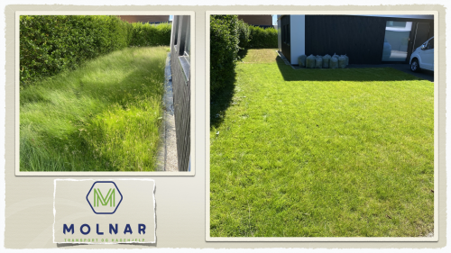 Molnar Transport Og Hagehjelp