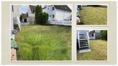 Molnar Transport Og Hagehjelp