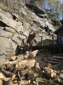 Markus Trefelling & Arborist Service Markus Trefelling & Arborist Service