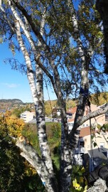 Lasag (Adventure, Snekring, Arbori, Graving) Lemme