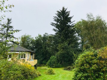 Markus Trefelling & Arborist Service Markus Trefelling & Arborist Service