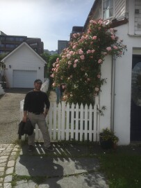 ROYAL MALERSERVICE ALBATRAN