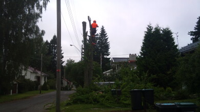 Total Eiendomsservice AS