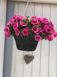 ROYAL MALERSERVICE ALBATRAN