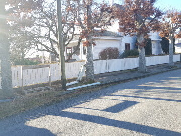 Adda Multi Service Alemu