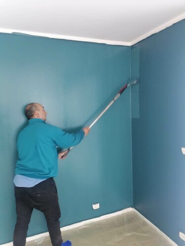 Constantin Tofolan Multiservice