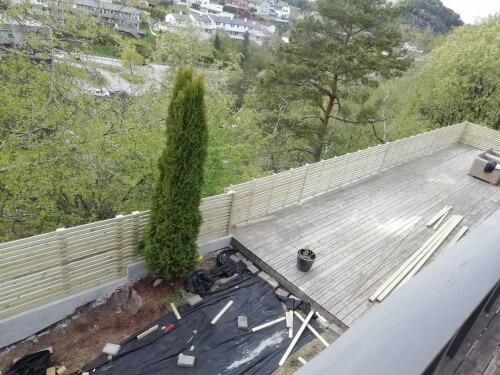 Alexander-Bogdan Bigg Mester Alexandru-Bogdan Luchian Alexander-Bogdan Bigg Mester Alexandru-Bogdan Luchian