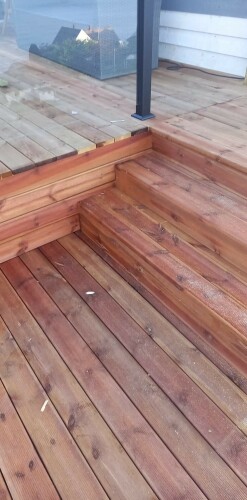 Alexander-Bogdan Bigg Mester Alexandru-Bogdan Luchian Alexander-Bogdan Bigg Mester Alexandru-Bogdan Luchian