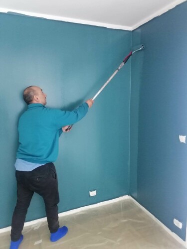 Constantin Tofolan Multiservice