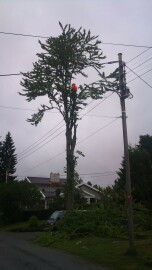 Total Eiendomsservice AS