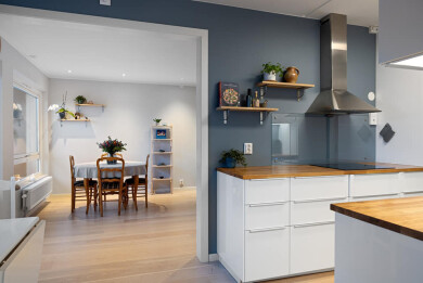 Ren & Fin AS Ren & Fin AS