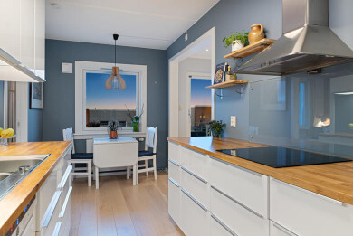 Ren & Fin AS Ren & Fin AS