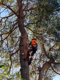 Huatorpet Håndverkertjenester