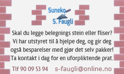 Suneko - Sune Anders Henrik Faugli