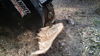 Total Eiendomsservice AS