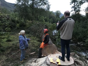 Markus Trefelling & Arborist Service Markus Trefelling & Arborist Service