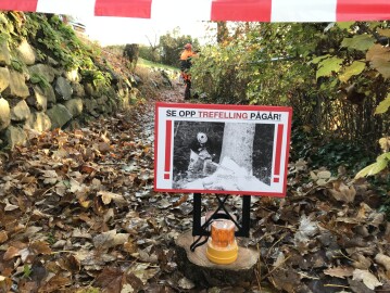 Markus Trefelling & Arborist Service Markus Trefelling & Arborist Service