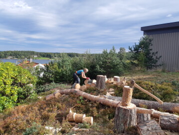 Lasag (Adventure, Snekring, Arbori, Graving) Lemme